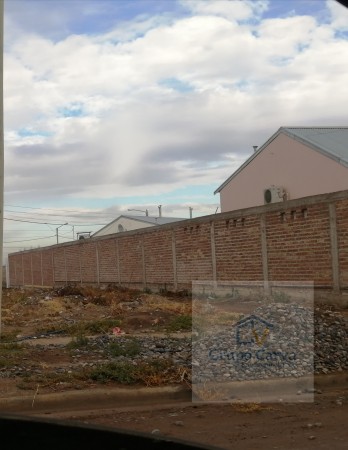 Terreno