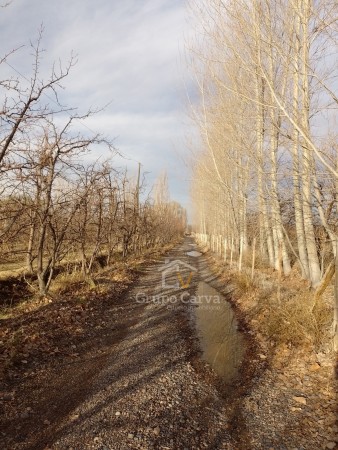 Chacra