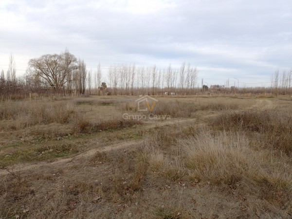 Chacra