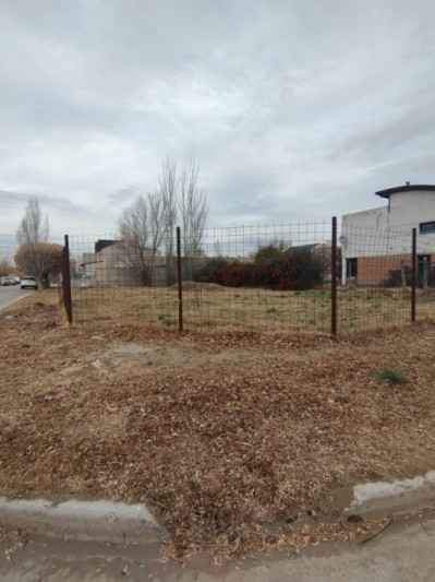 Terreno Barrio Las viñas